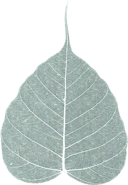 Vipassana leaf emblem